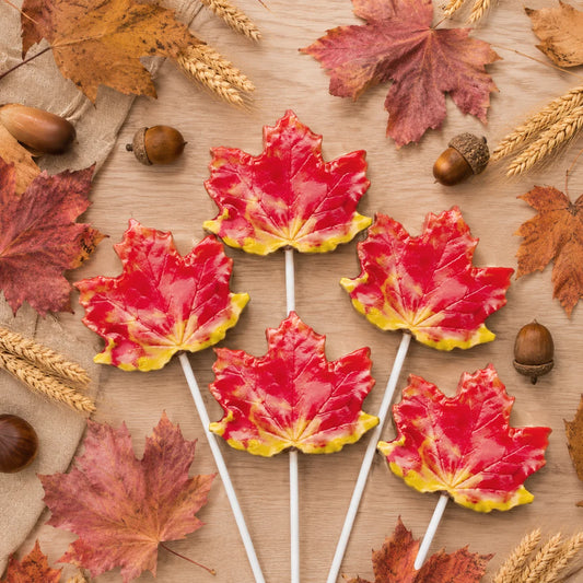 Large Maple Leaf Pollylop® — Chocolate Lollipop