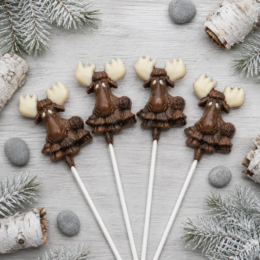 Shaggy Moose Pollylop® — Chocolate Lollipop